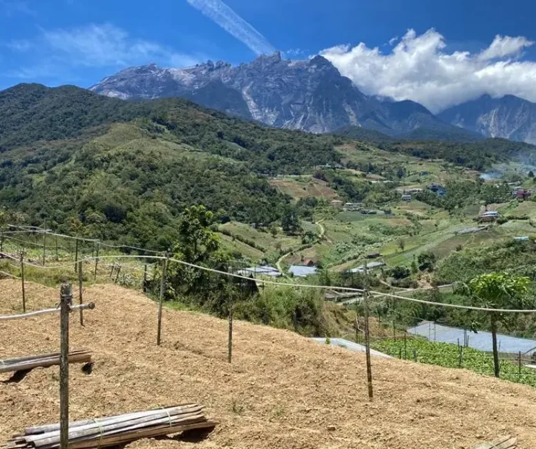 7bhsxvrpouxk bwwru r7wcyrz9mtnno1gkky62xyq4= plaintext 638368078241691313